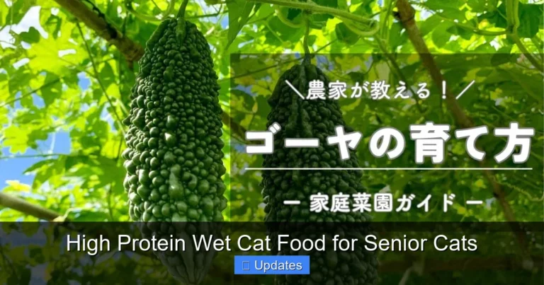 High Protein Wet Cat Food for Senior Cats