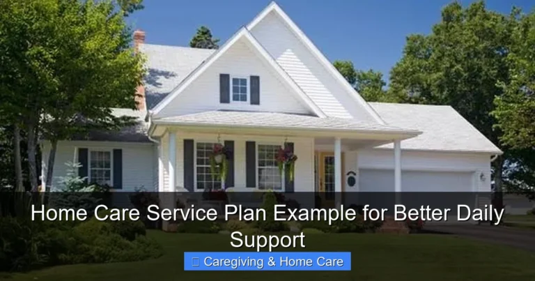 Home Care Service Plan Example for Better Daily Support