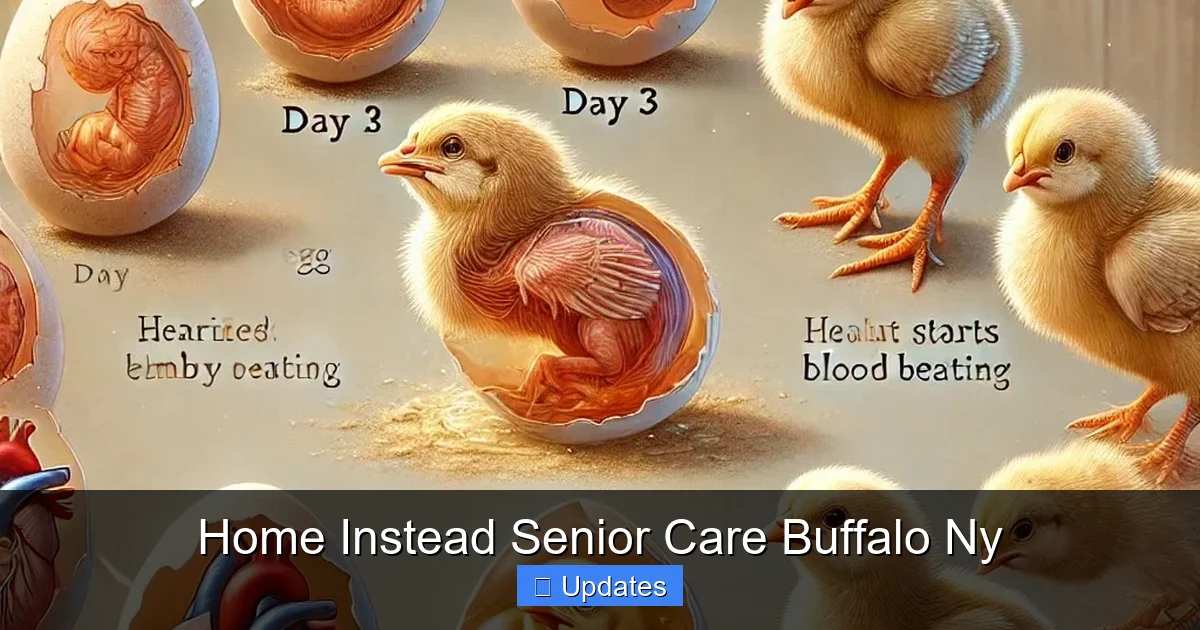 Home Instead Senior Care Buffalo Ny