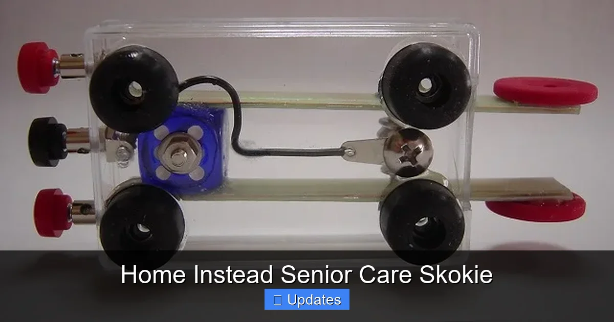Home Instead Senior Care Skokie