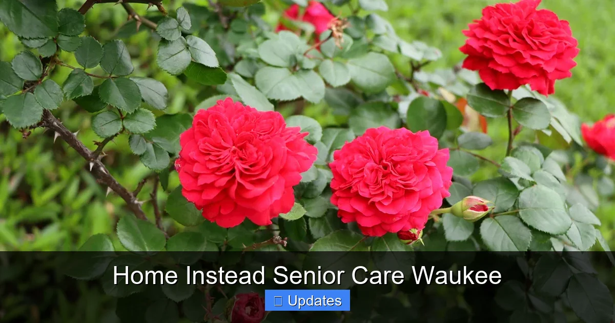 Home Instead Senior Care Waukee