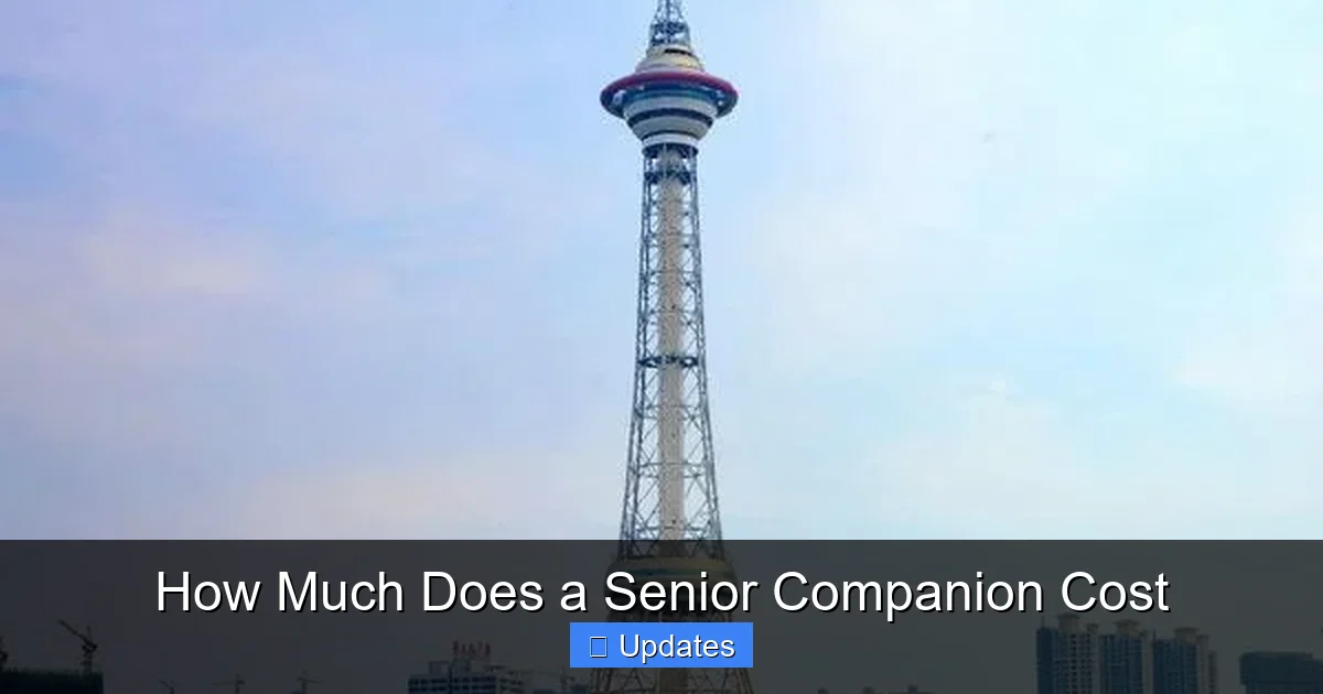 How Much Does a Senior Companion Cost