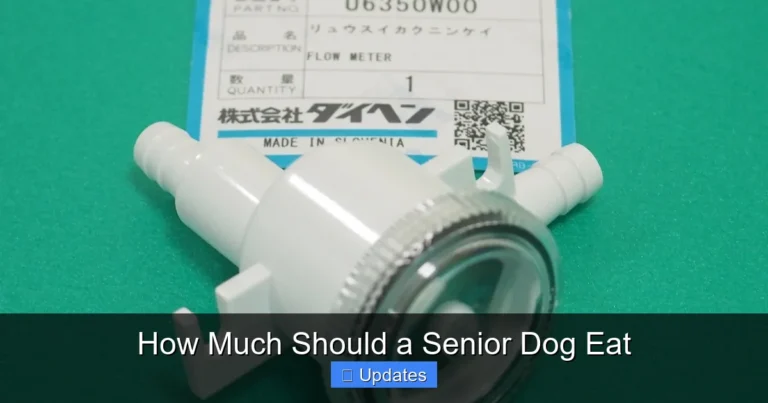 How Much Should a Senior Dog Eat