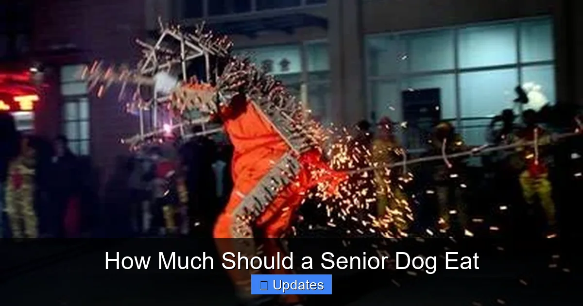 How Much Should a Senior Dog Eat
