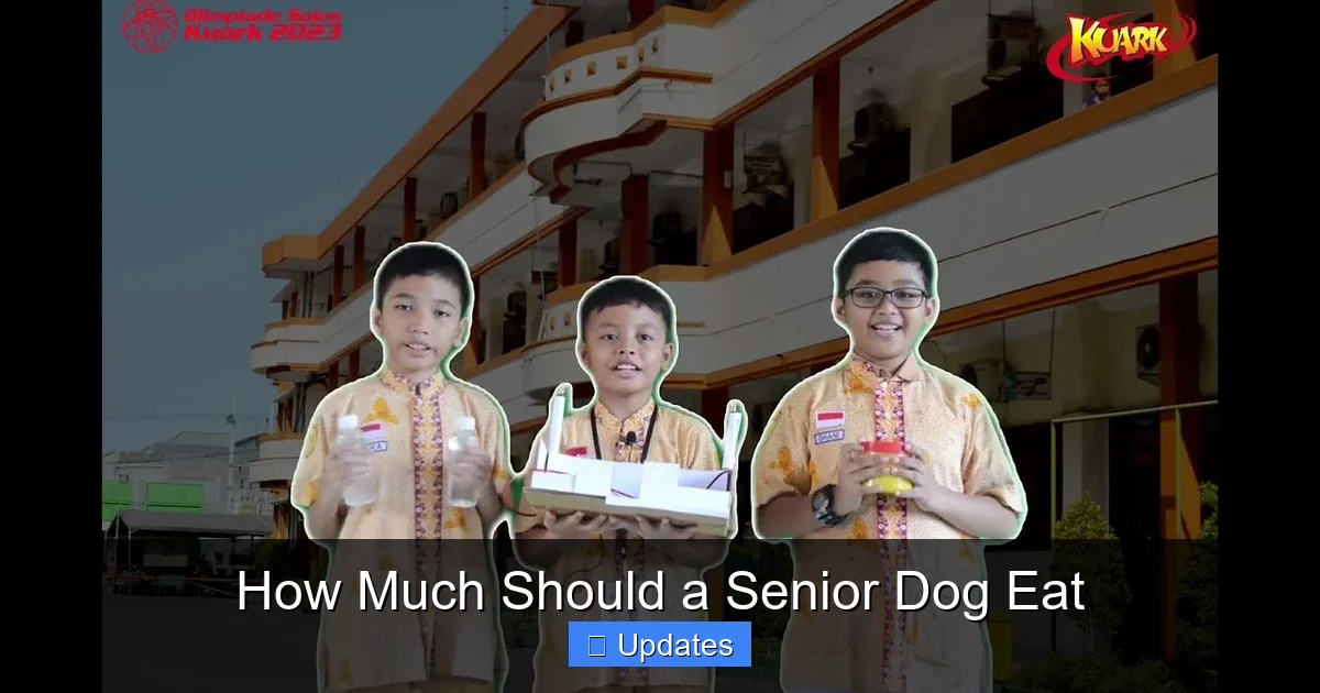How Much Should a Senior Dog Eat