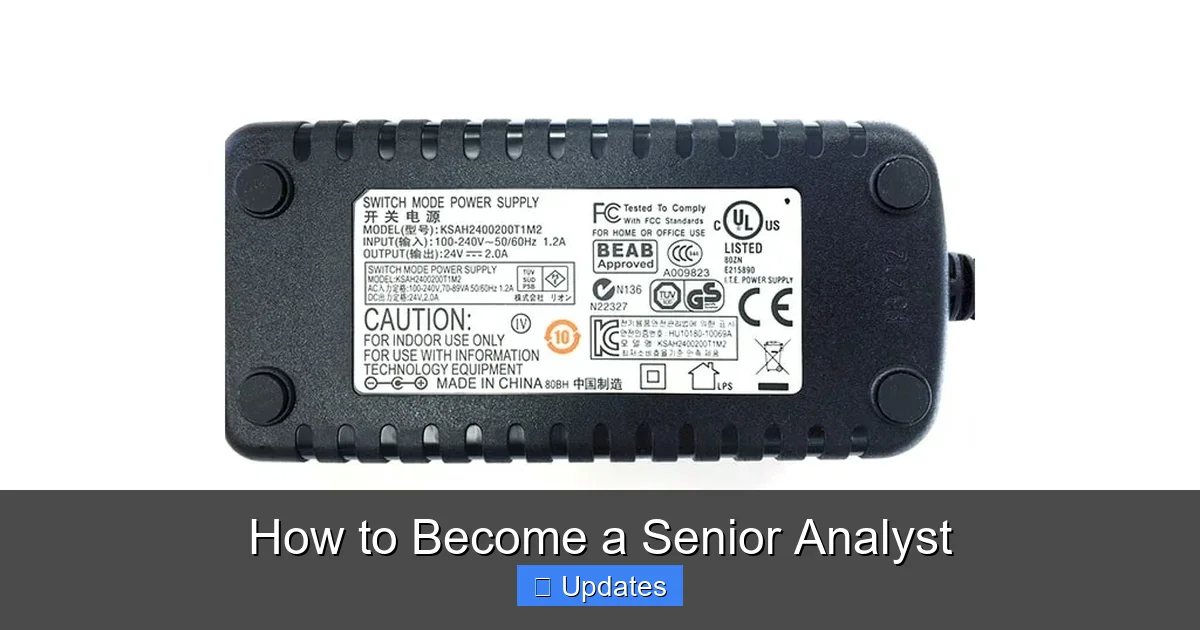How to Become a Senior Analyst