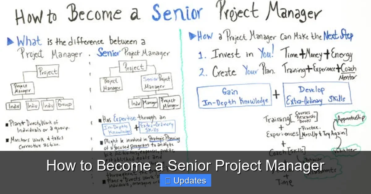 How to Become a Senior Project Manager