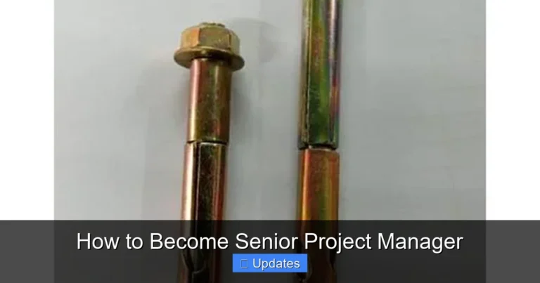 How to Become Senior Project Manager