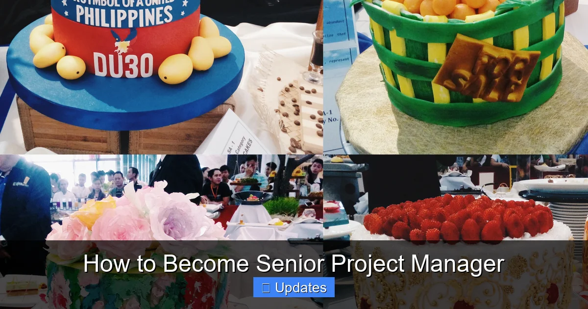 How to Become Senior Project Manager