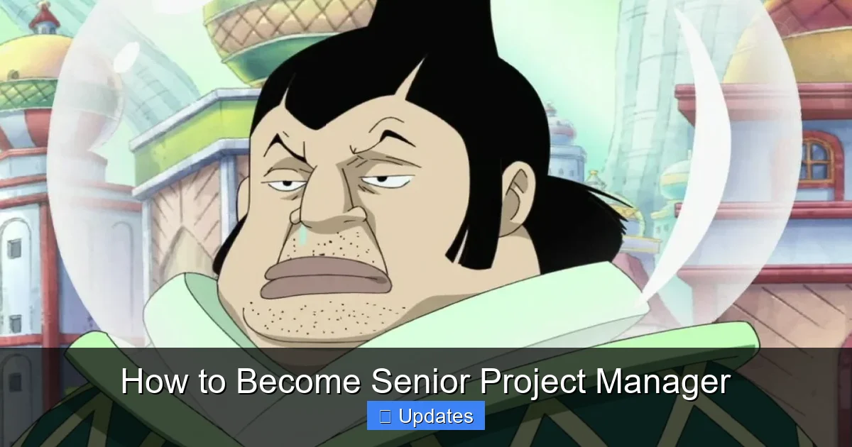 How to Become Senior Project Manager