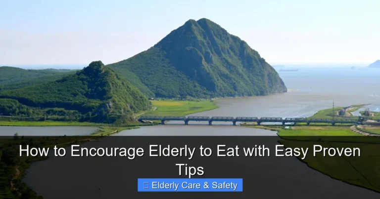 How to Encourage Elderly to Eat with Easy Proven Tips
