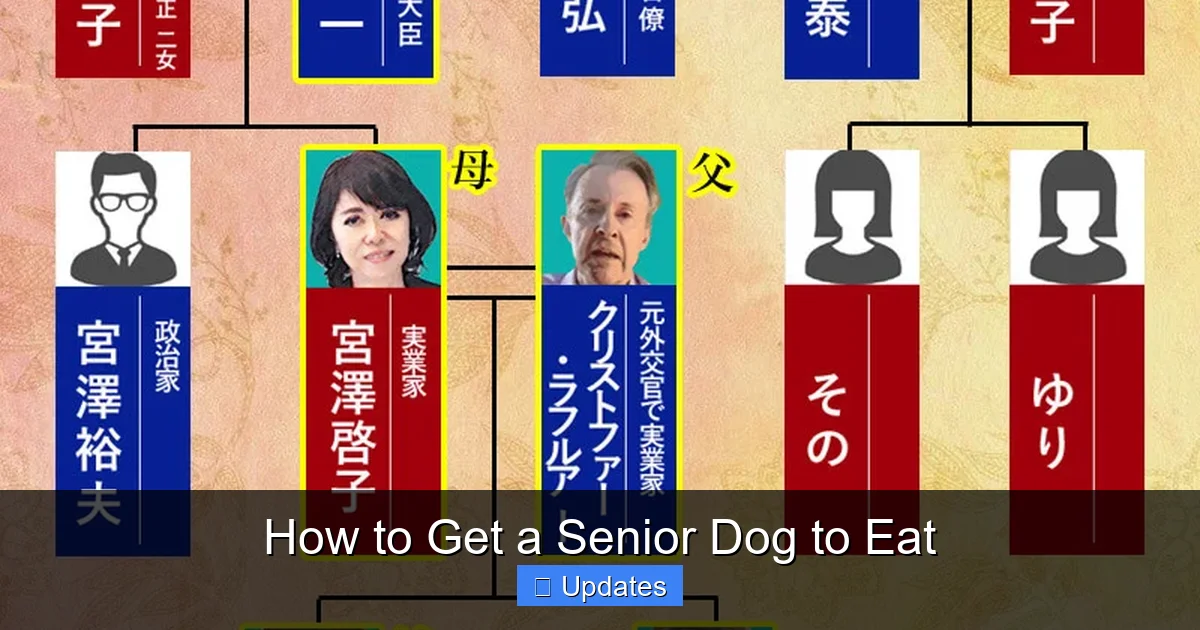 How to Get a Senior Dog to Eat