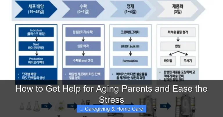 How to Get Help for Aging Parents and Ease the Stress