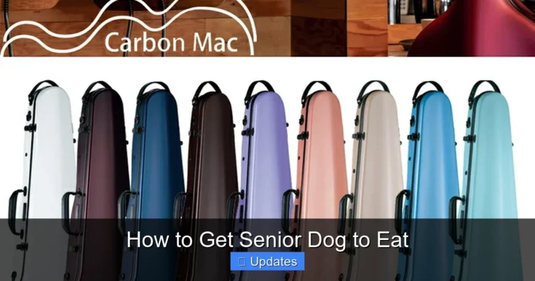 How to Get Senior Dog to Eat