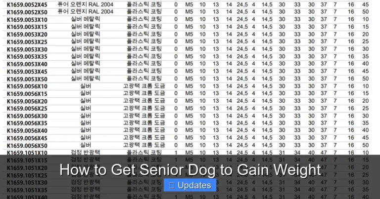 How to Get Senior Dog to Gain Weight