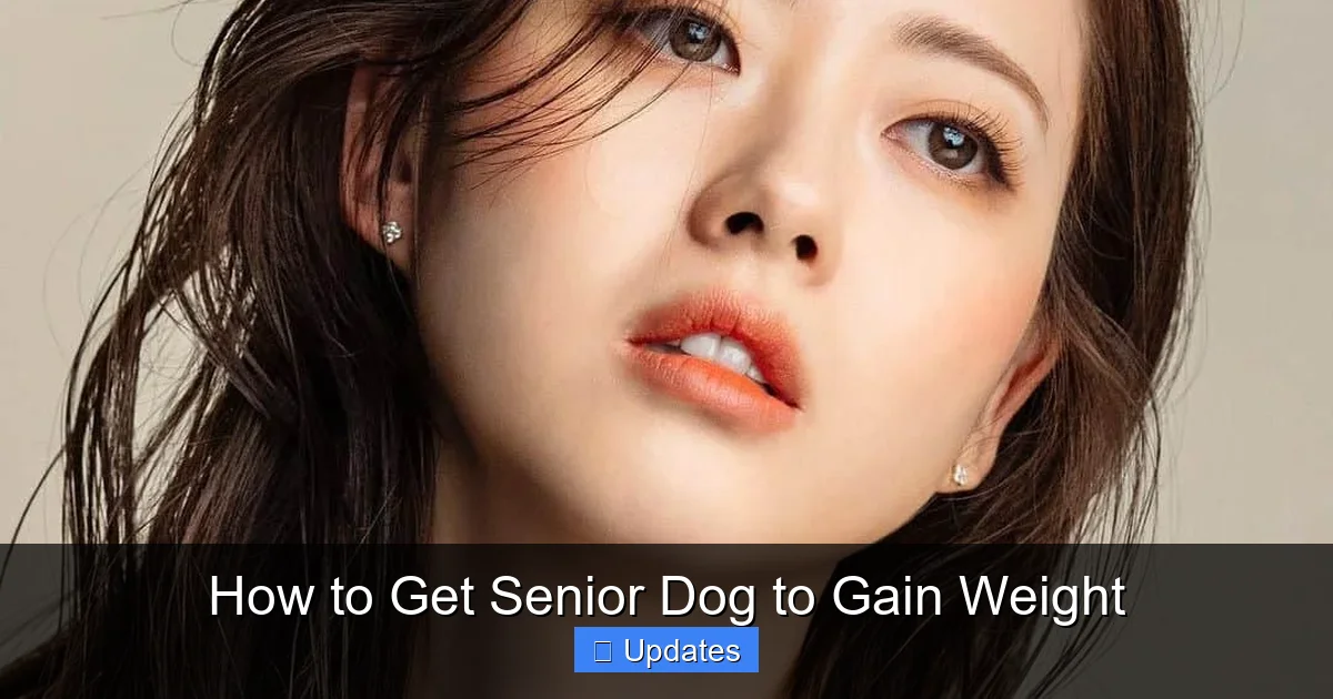 How to Get Senior Dog to Gain Weight