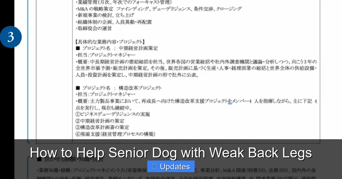 How to Help Senior Dog with Weak Back Legs