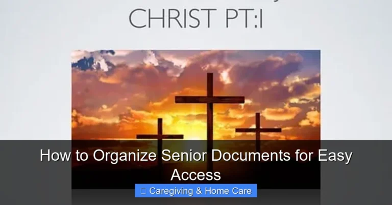 How to Organize Senior Documents for Easy Access