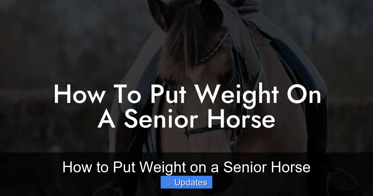 How to Put Weight on a Senior Horse