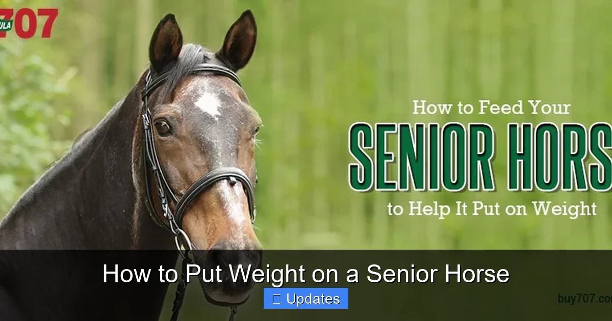 How to Put Weight on a Senior Horse