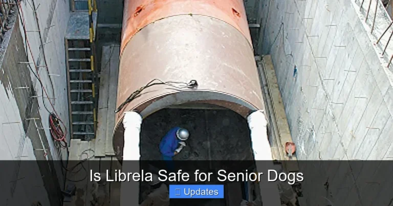 Is Librela Safe for Senior Dogs