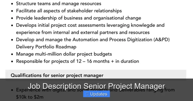 Job Description Senior Project Manager