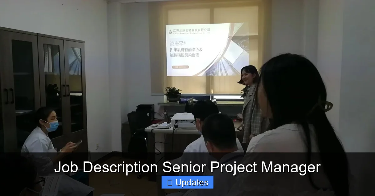 Job Description Senior Project Manager