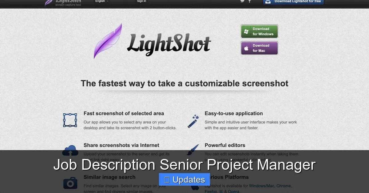 Job Description Senior Project Manager