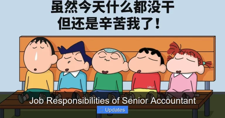 Job Responsibilities of Senior Accountant
