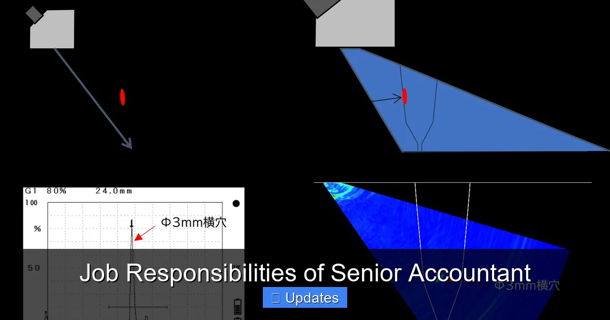 Job Responsibilities of Senior Accountant
