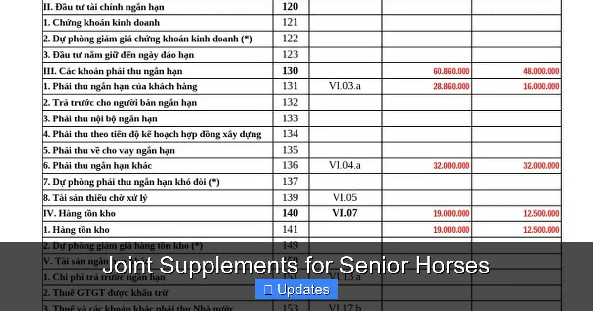 Joint Supplements for Senior Horses