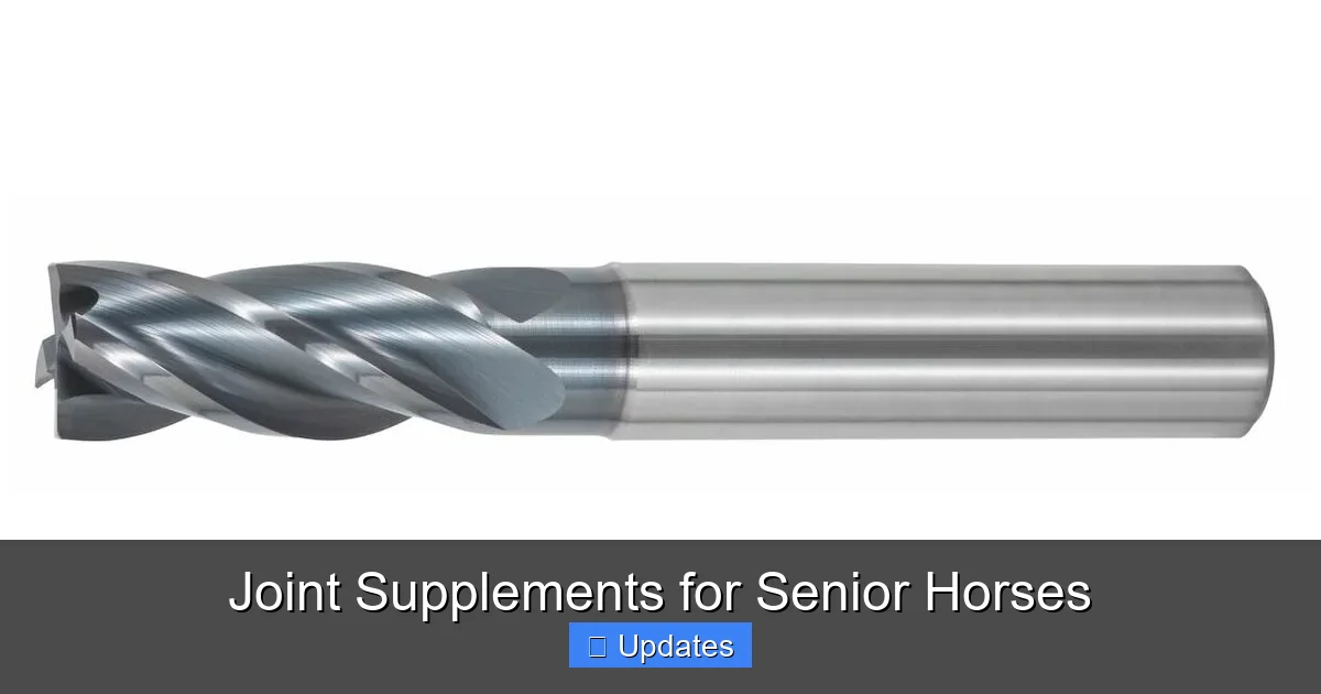 Joint Supplements for Senior Horses