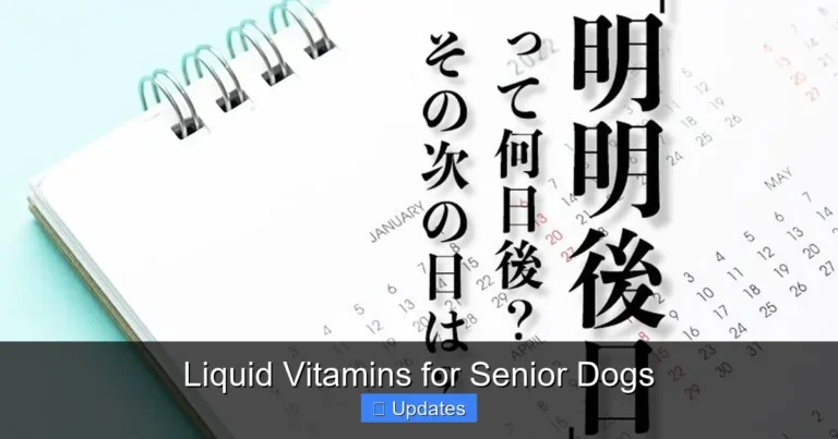 Liquid Vitamins for Senior Dogs