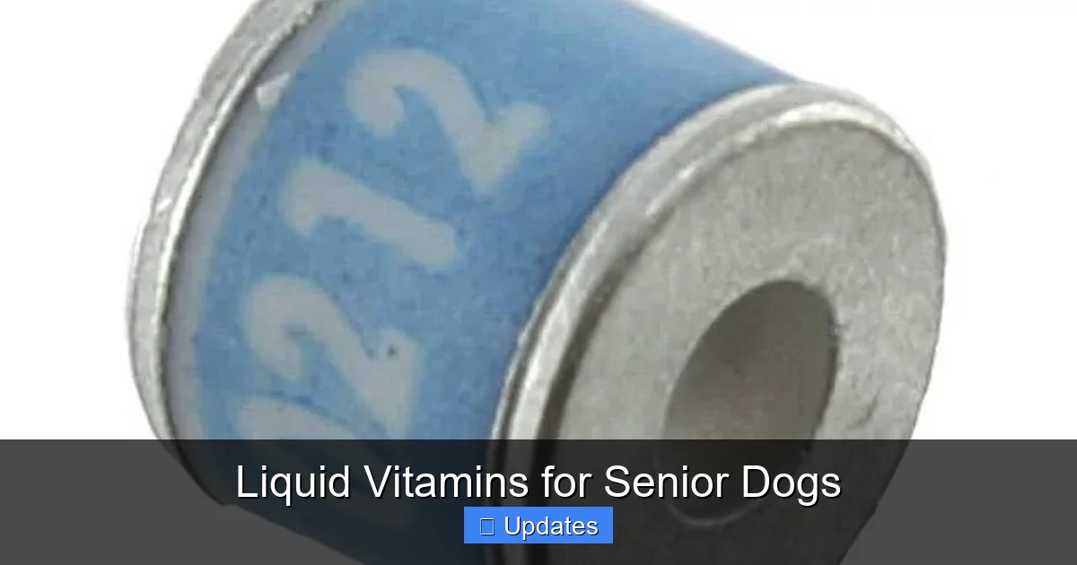 Liquid Vitamins for Senior Dogs
