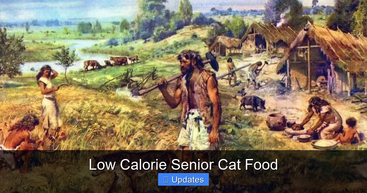 Low Calorie Senior Cat Food