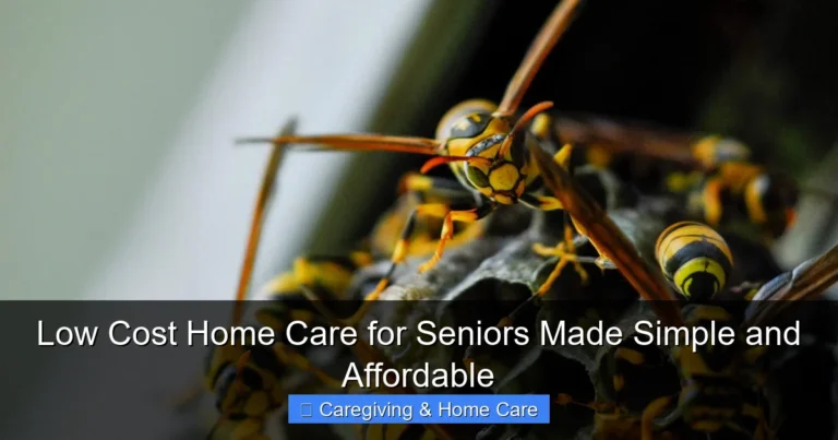 Low Cost Home Care for Seniors Made Simple and Affordable