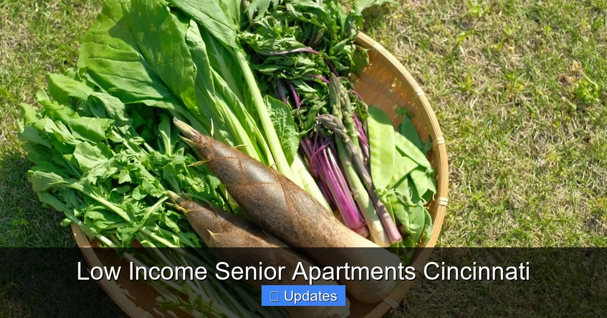 Low Income Senior Apartments Cincinnati