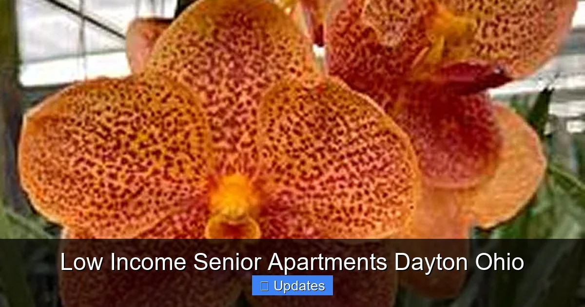 Low Income Senior Apartments Dayton Ohio