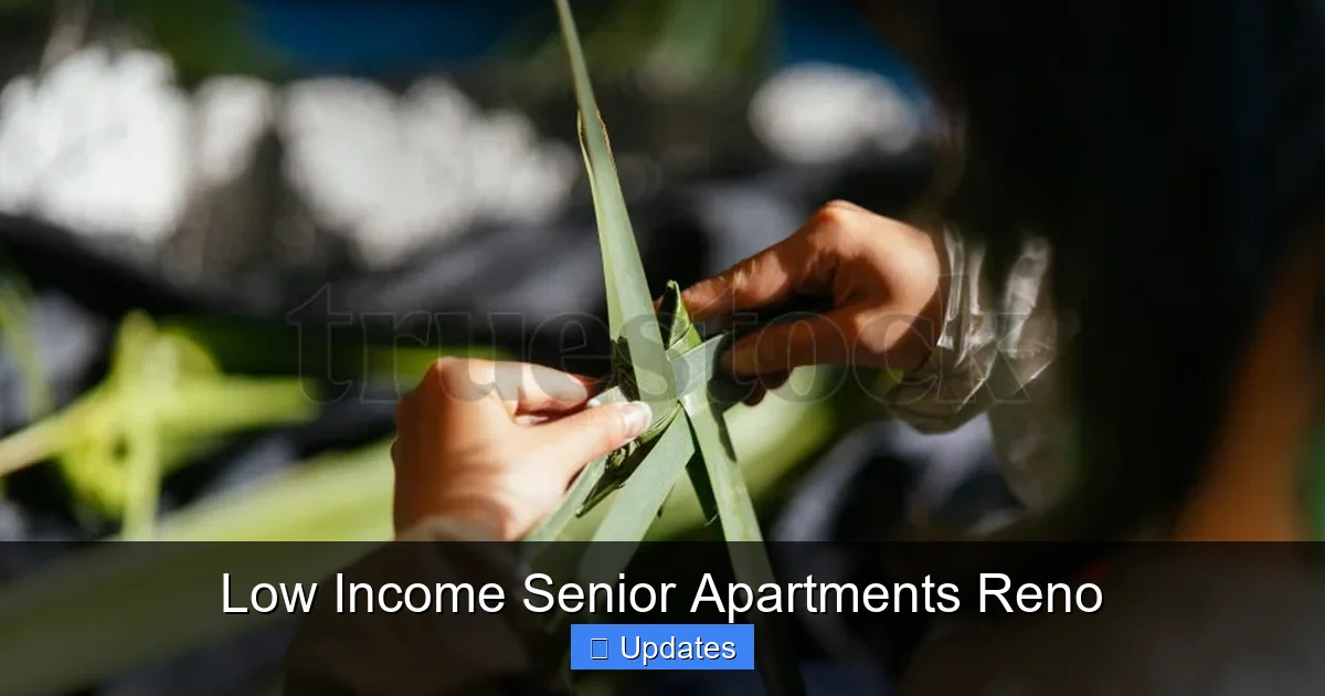 Low Income Senior Apartments Reno