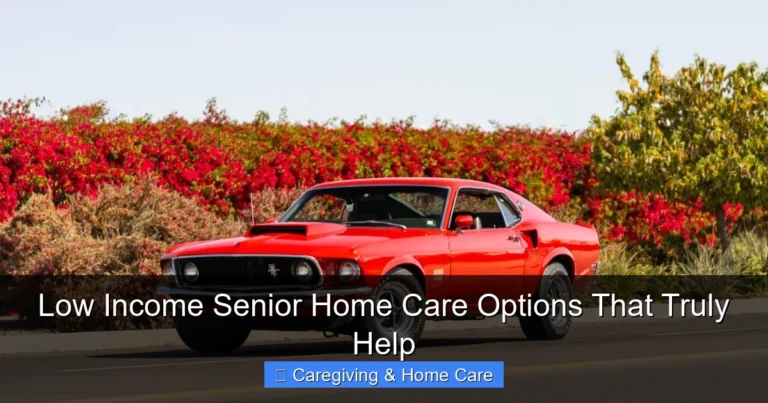 Low Income Senior Home Care Options That Truly Help