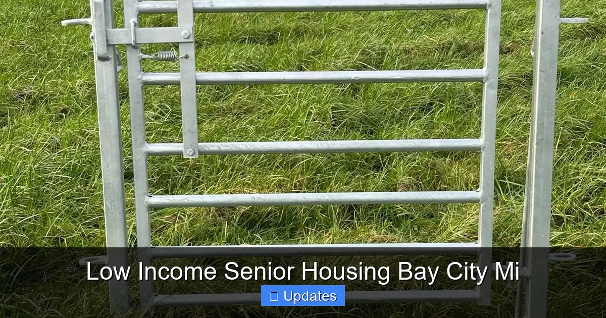 Low Income Senior Housing Bay City Mi