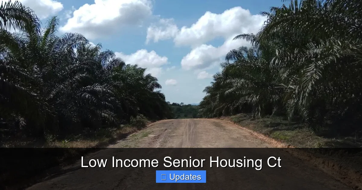 Low Income Senior Housing Ct