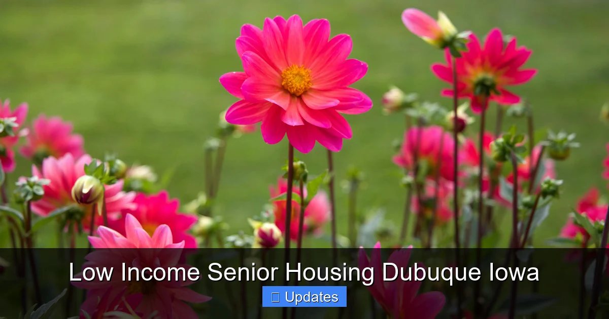 Low Income Senior Housing Dubuque Iowa