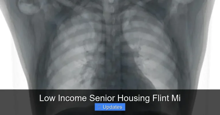 Low Income Senior Housing Flint Mi