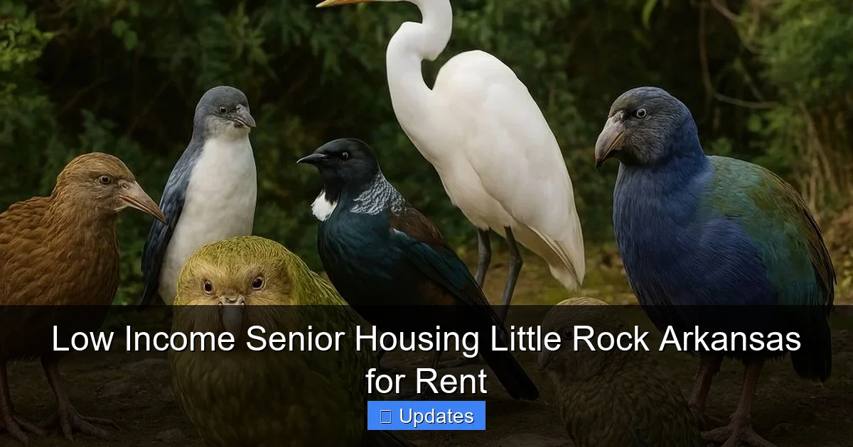 Low Income Senior Housing Little Rock Arkansas for Rent