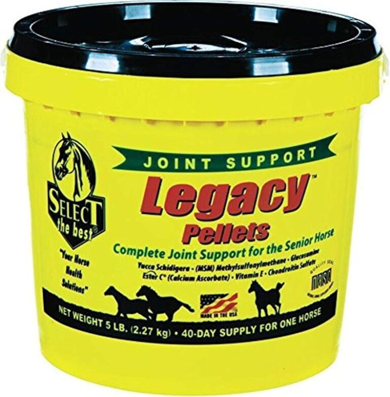 Top 10 Best Hay for Senior Horses: Quality & Expert Picks