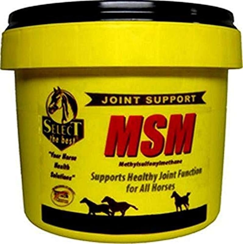 Richdel MSM Powder Joint Support for Horses, 10 lb
