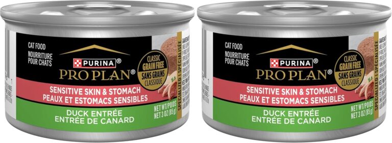 Top 10 Best Senior Wet Cat Food For Sensitive Stomach You Need To Know