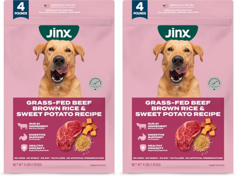 Top 10 Best Lamb And Rice Senior Dog Food for Healthy, Happy Aging Pups