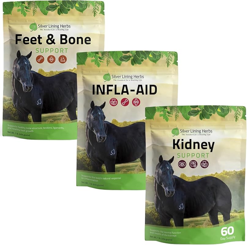 Silver Lining Herbs Lameness Bundle: Feet, Bone & Kidney Support for N